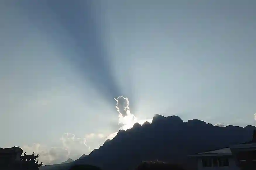 新的一年,祝大家: